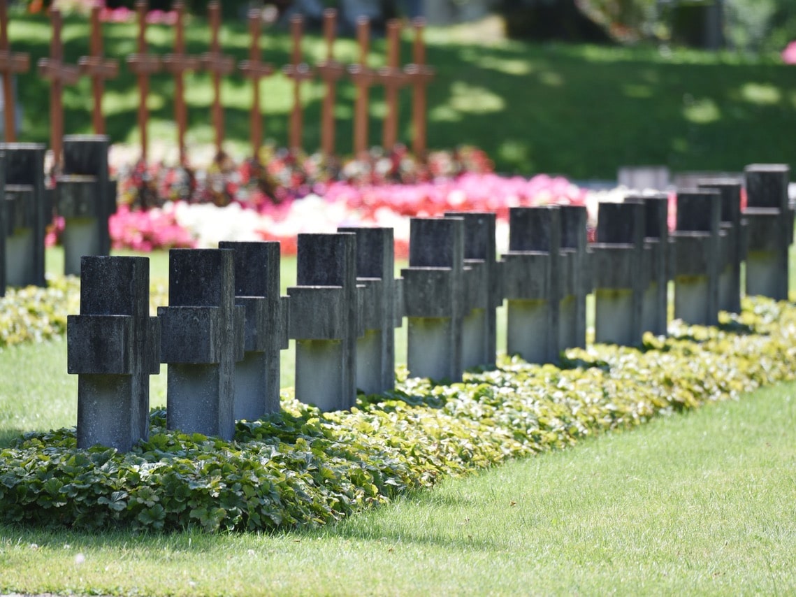 Tag des Friedhofs: Gräberreihe auf dem Schosshaldenfriedhof. (Foto: Daniela Friedli)