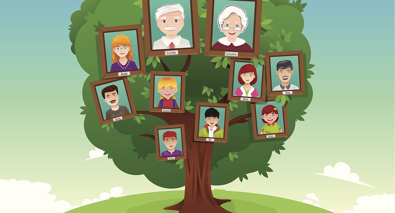 Im Familienstammbaum ist die Erbfolge ersichtlich.