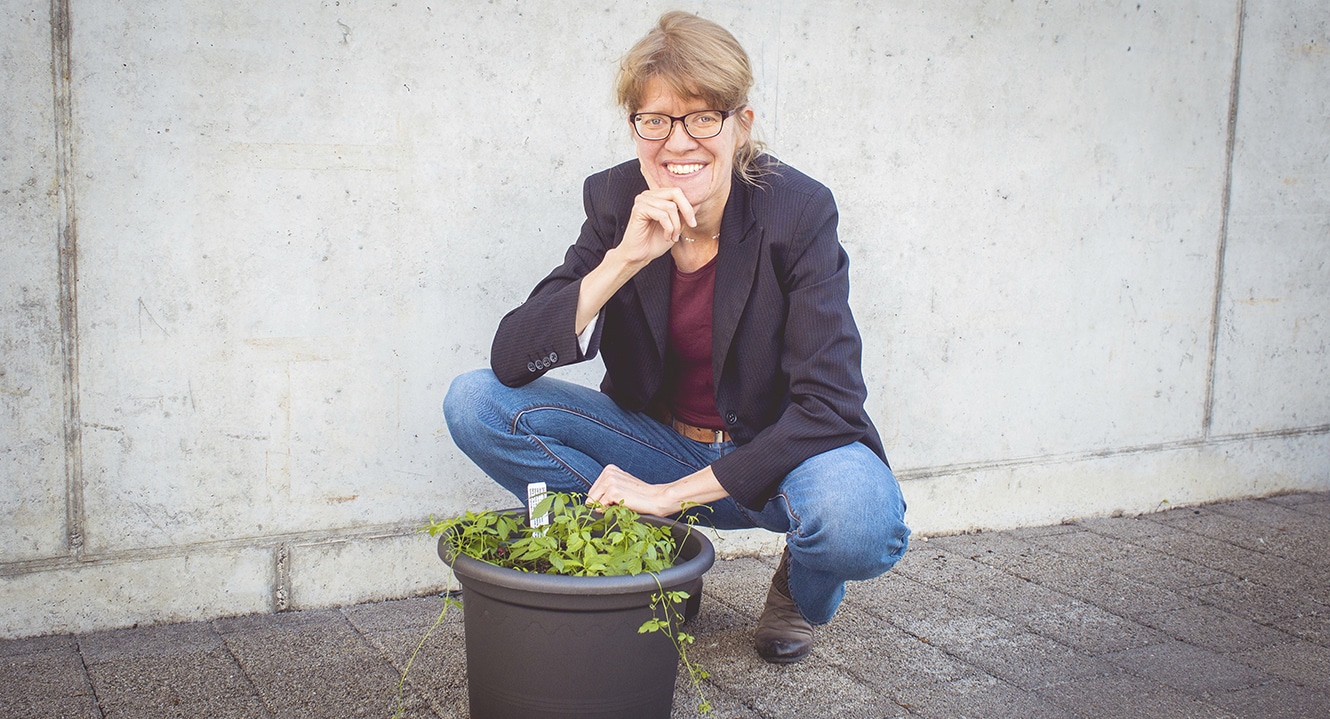 Bloggerin Silvia Stierli pflanzte das Unsterblichkeitskraut