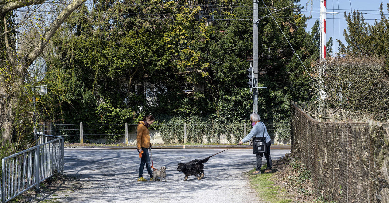 Corona-Seuche: Social-Distancing auf dem Hunde-Spaziergang